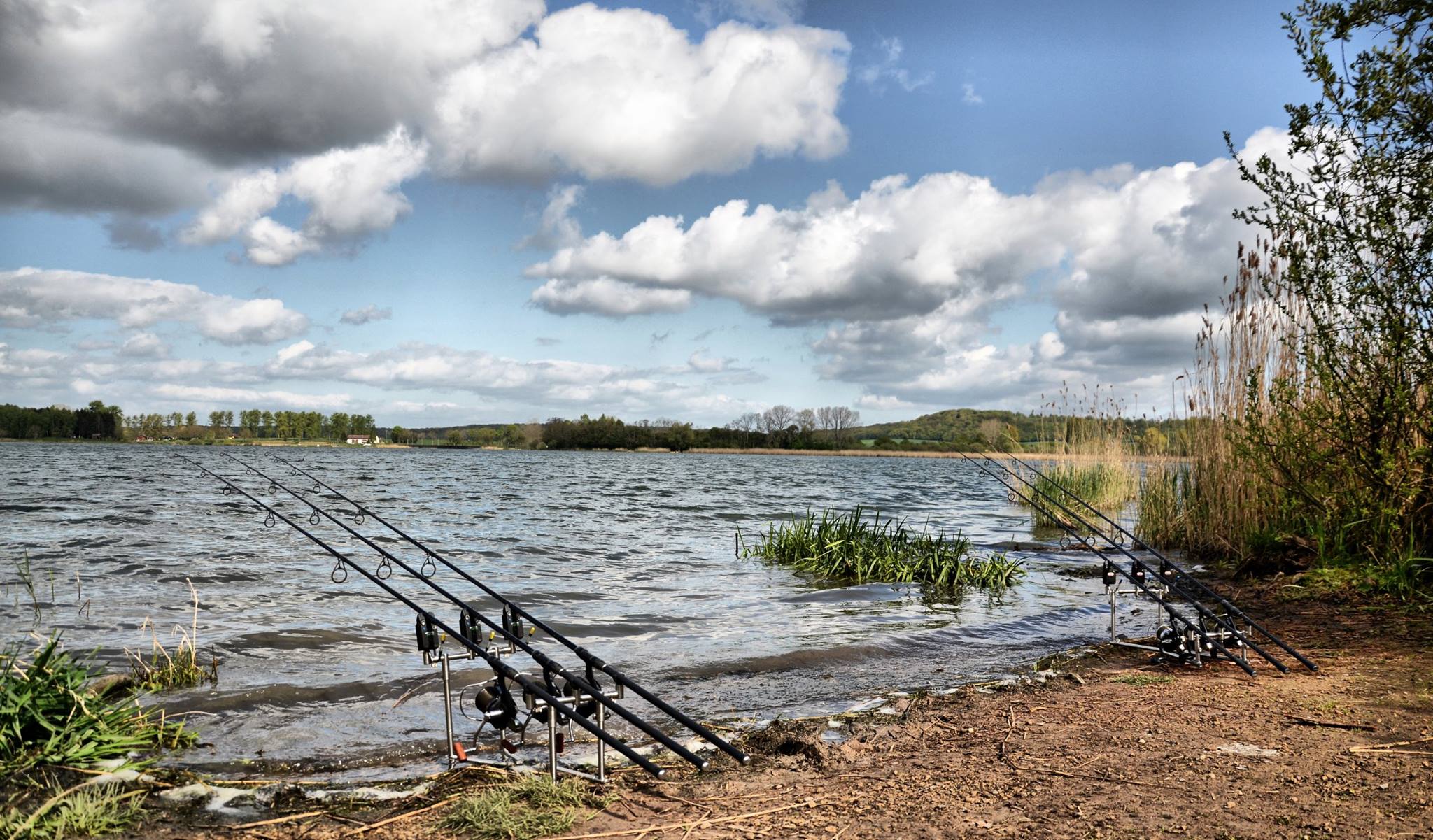 débuter la pêche